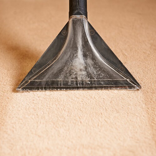 Carpet cleaning | Floors by Roberts