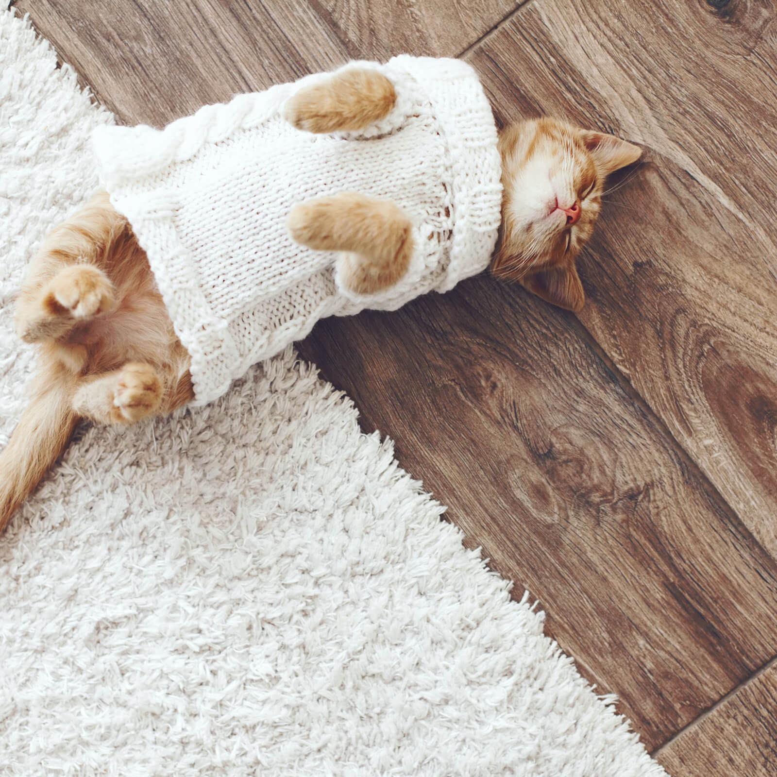 Pet friendly floor | Floors by Roberts