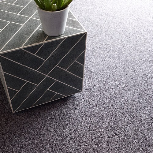 Shaw carpet | Floors by Roberts