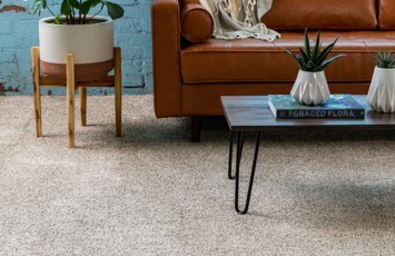 Carpet | Floors By Roberts